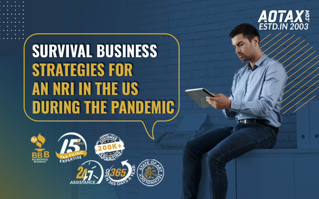 Survival business strategies for an NRI in the US during the pandemic